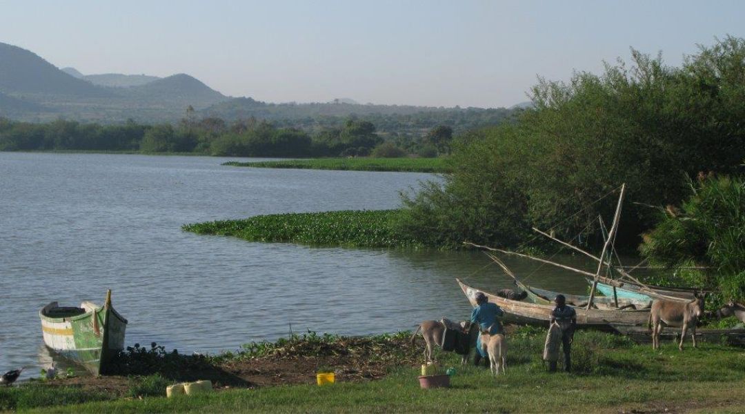 Photo of Sub Saharan Africa