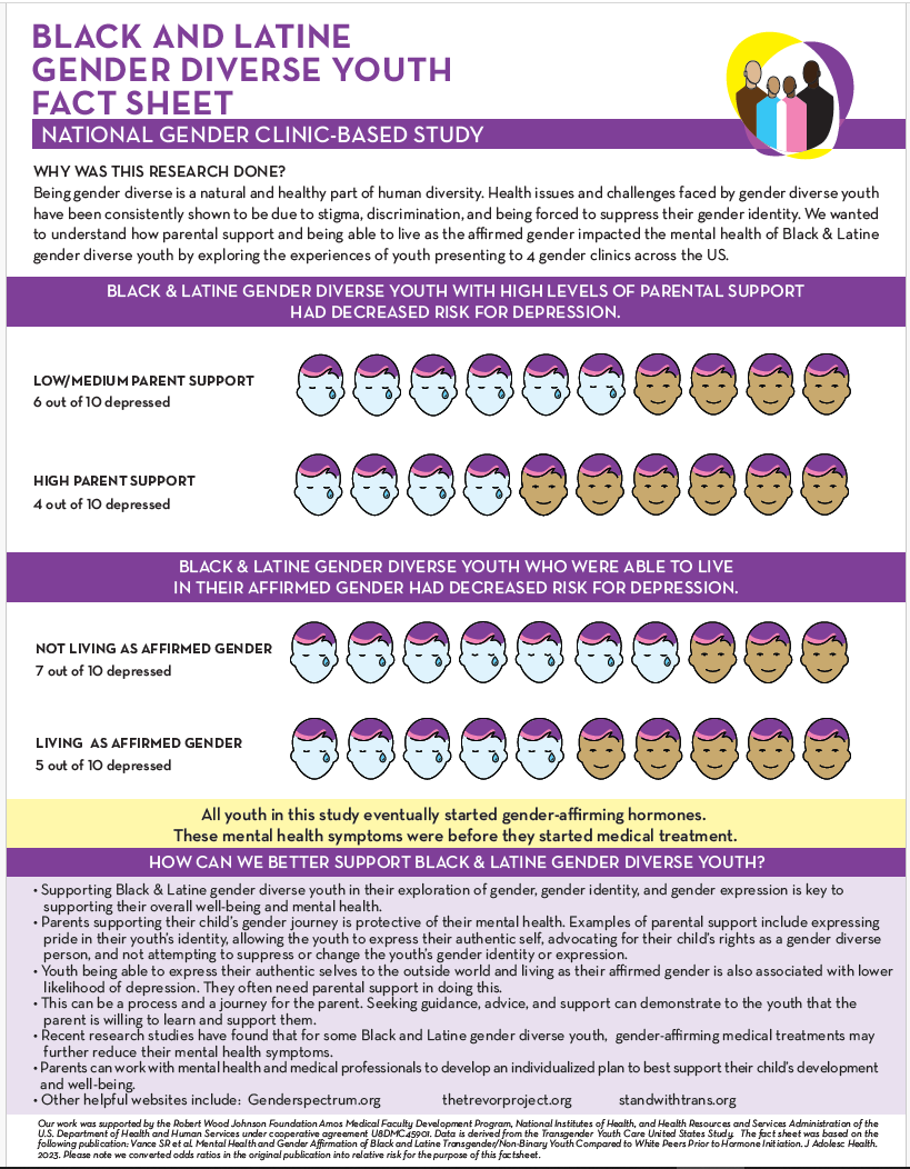 Clinical Fact Sheet English